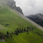 La malga Erera Brendol dal Monte Colsent - Foto archivio PNDB